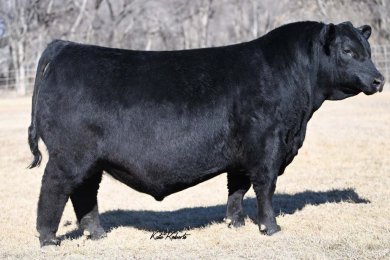 S A V Beneficial 4253