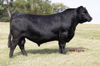 Vermilion Irish Whiskey