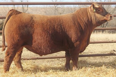 LEM Worldwide 1001 ET