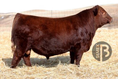 Red Six Mile Overhaul 264M