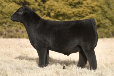 Promise Keeper 23K ET/