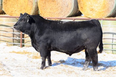 TPG Kessinger 1009K ET