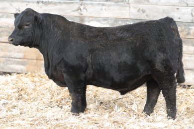 Wasatch 3599L