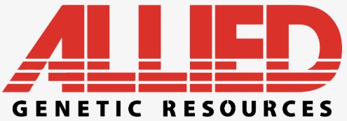 Allied Logo