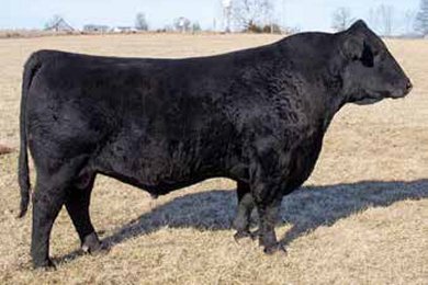 FHCC Honor Code 3165L