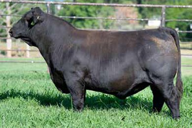 Gibbs Highwayman 3130L